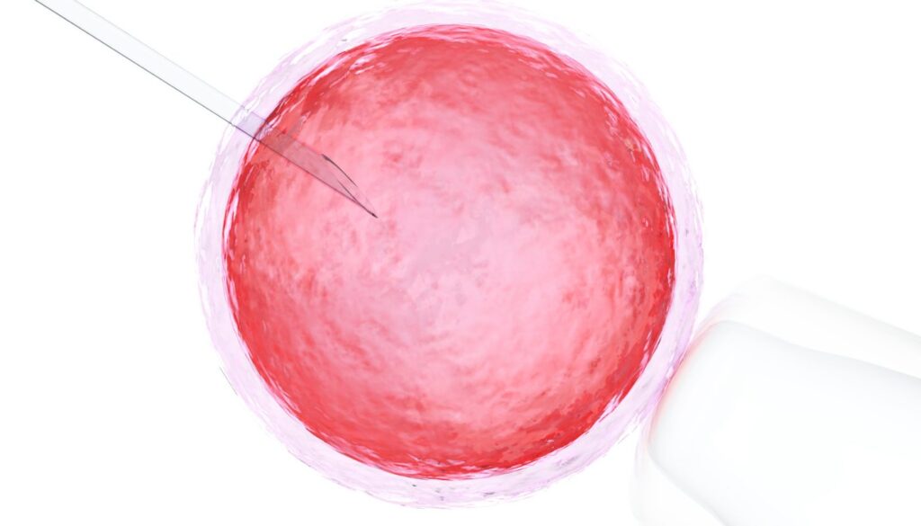 Kime tüp bebek, kime aşılama?