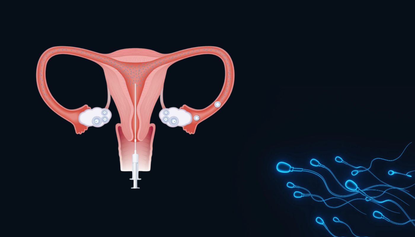 7 Maddede Aşılama ve Öncesi