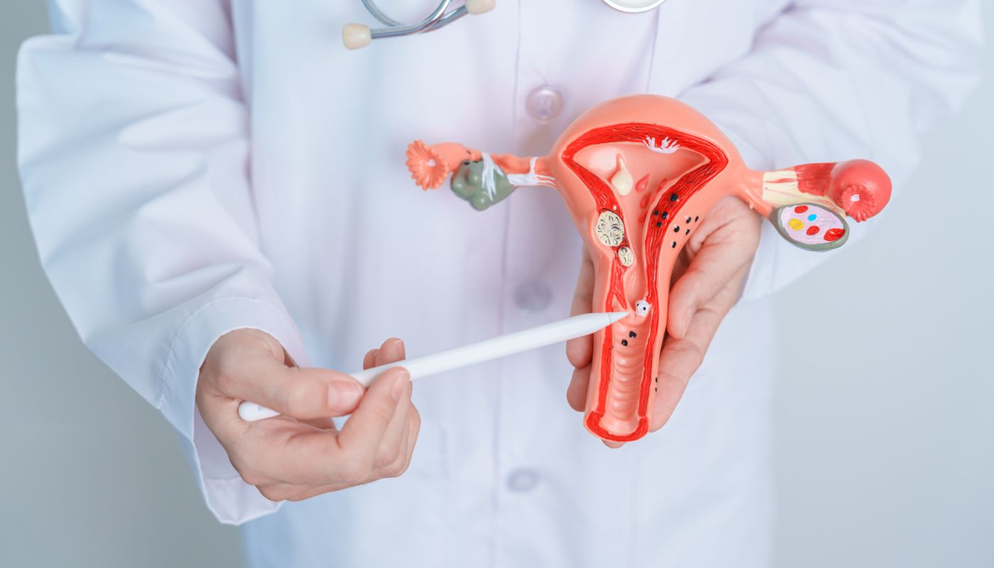 Tüp Bebekte Embriyo Transferi