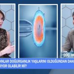Yumurta Dondurma Yaş Sınırı ve Başarı