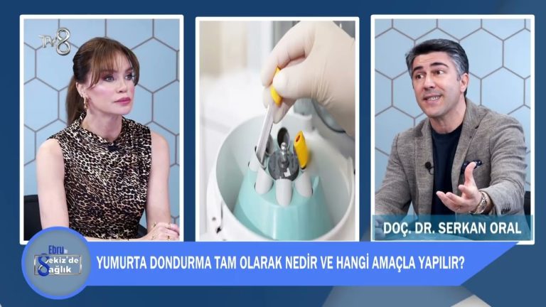Yumurta Dondurma